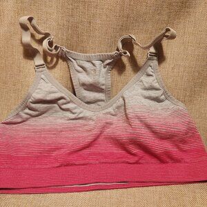 Danskin Gray and Pink Ombre Adjustable Strap Sports Bra Size XL EUC